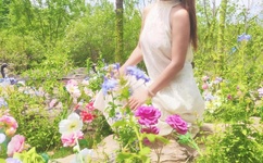 妈妈说只要爸爸不在家歌曲